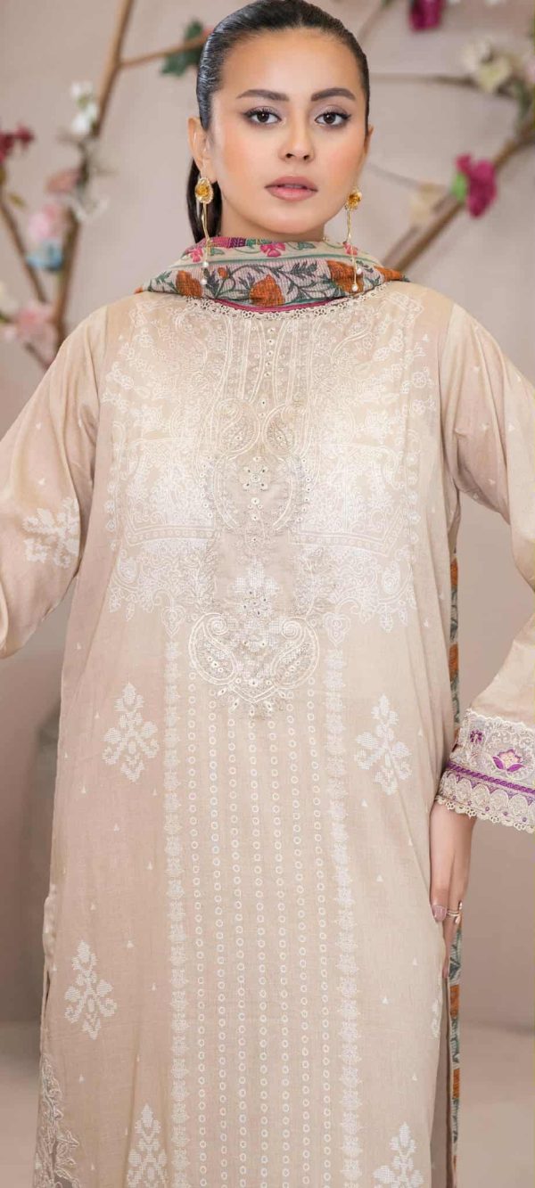 Pakistani Dress Bangladesh | পাকিস্তানি ড্রেস অনলাইনে