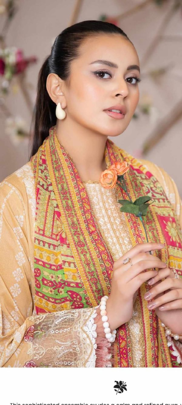 Pakistani Dress Bangladesh | পাকিস্তানি ড্রেস অনলাইনে